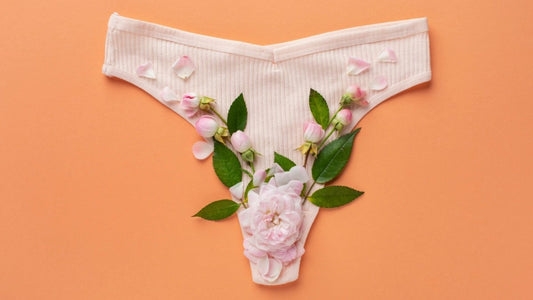Culotte menstruelle : comprendre cette révolution des protections périodiques - Santé gourmet