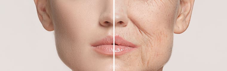 Collagène : Votre Allié Beauté pour une Peau Éclatante et des Cheveux Forts - Santé gourmet Image