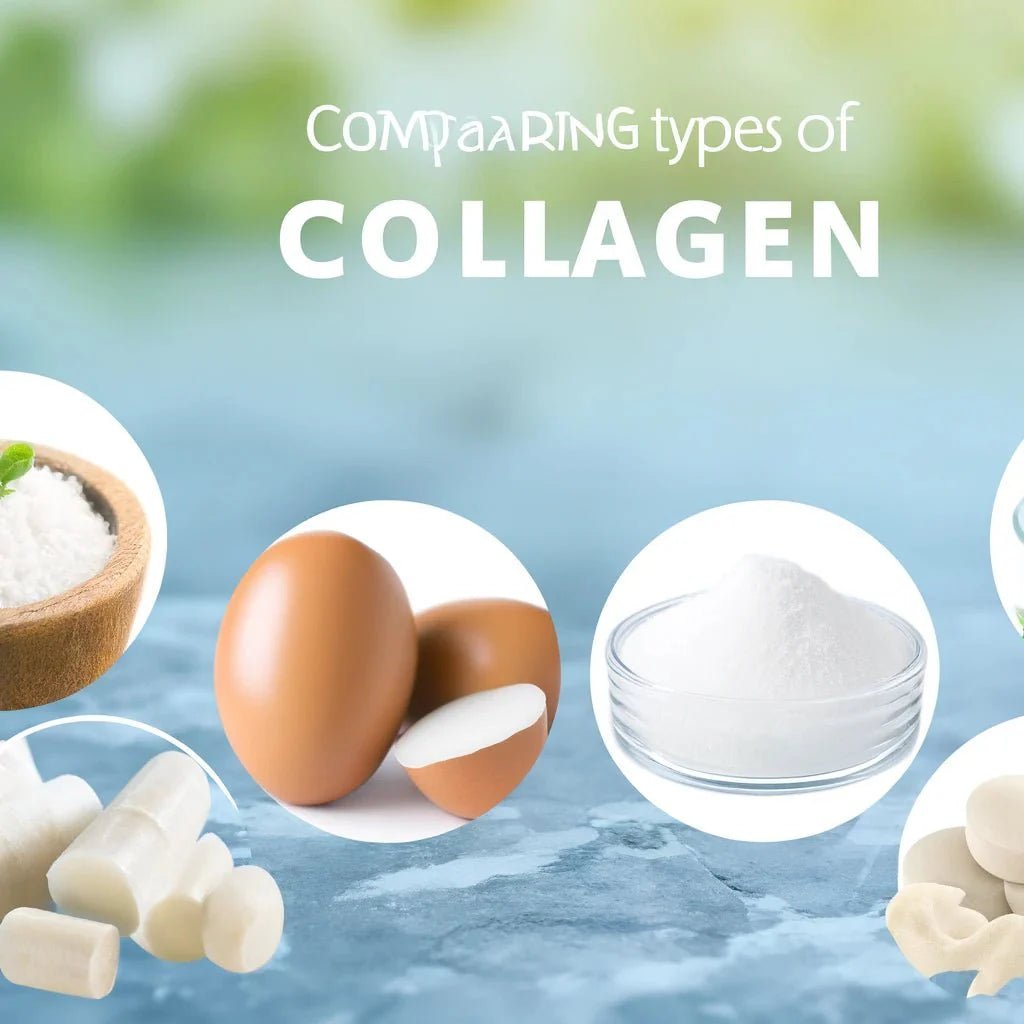 Comparaison des Types de Collagène - Santé gourmet Image