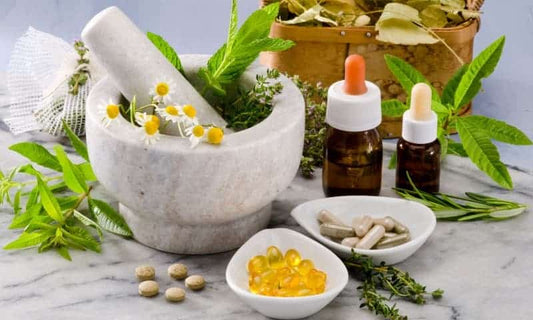 Herbes et Suppléments Naturels pour Booster l'Immunité - Santé gourmet