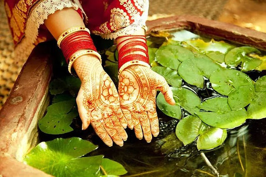 Introduction à l'Ayurveda : Principes et Pratiques pour la Santé - Santé gourmet