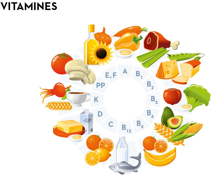 Le Pouvoir des Vitamines : Énergisez Votre Vie au Quotidien - Santé gourmet Image
